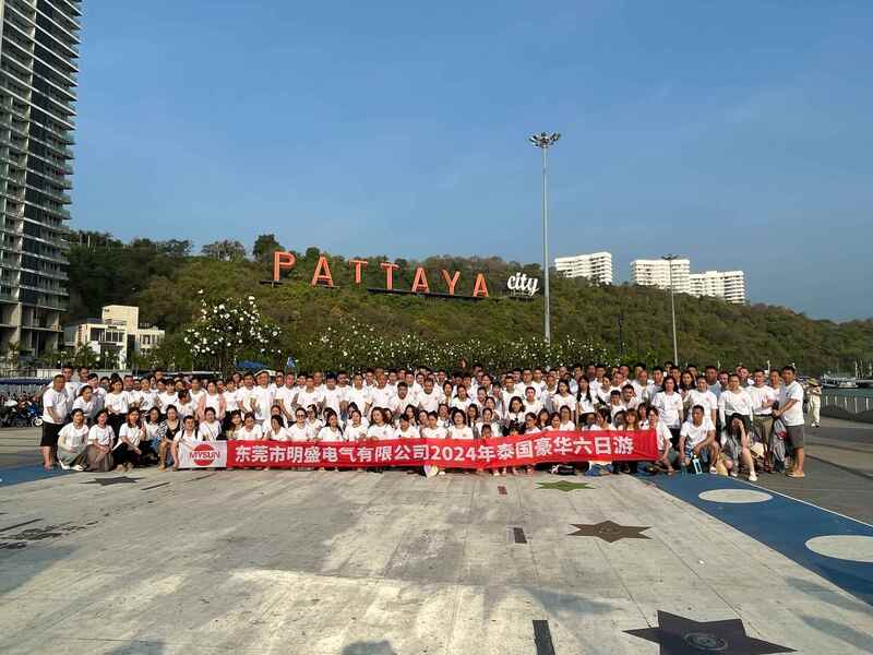 China Shenzhen Mysun Insulation Materials Co., Ltd. Unternehmensprofil